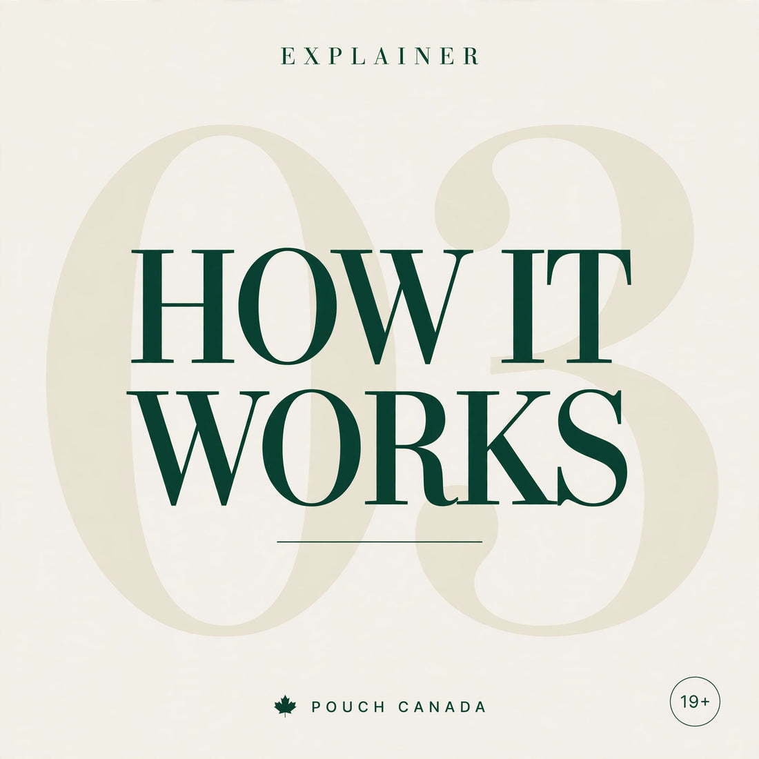 How Do Nicotine Pouches Work? A Plain-English Explainer
