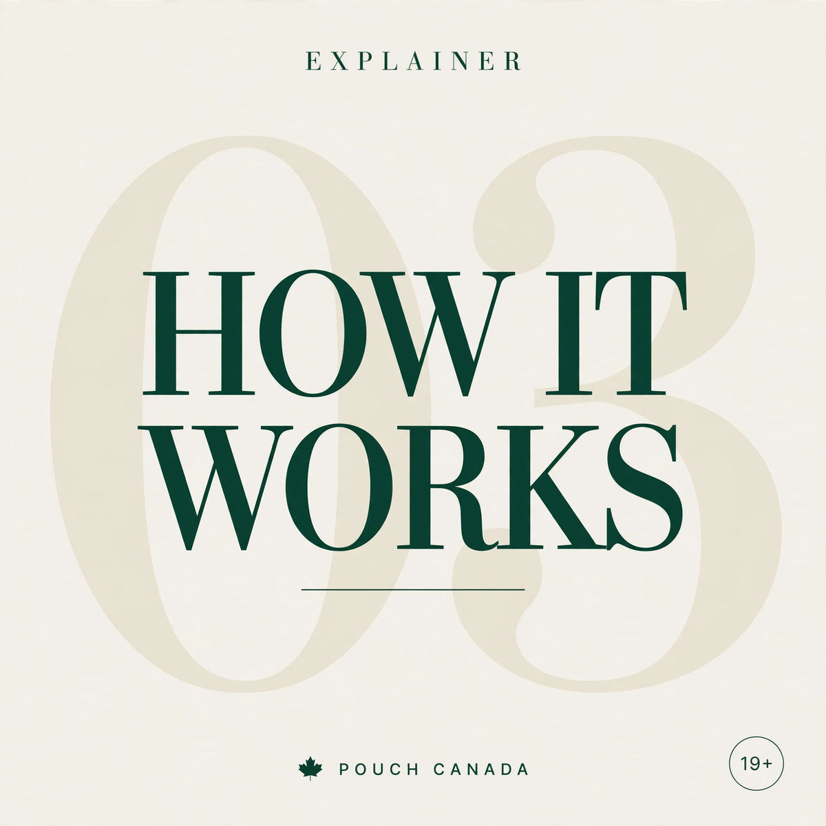 How Do Nicotine Pouches Work? A Plain-English Explainer